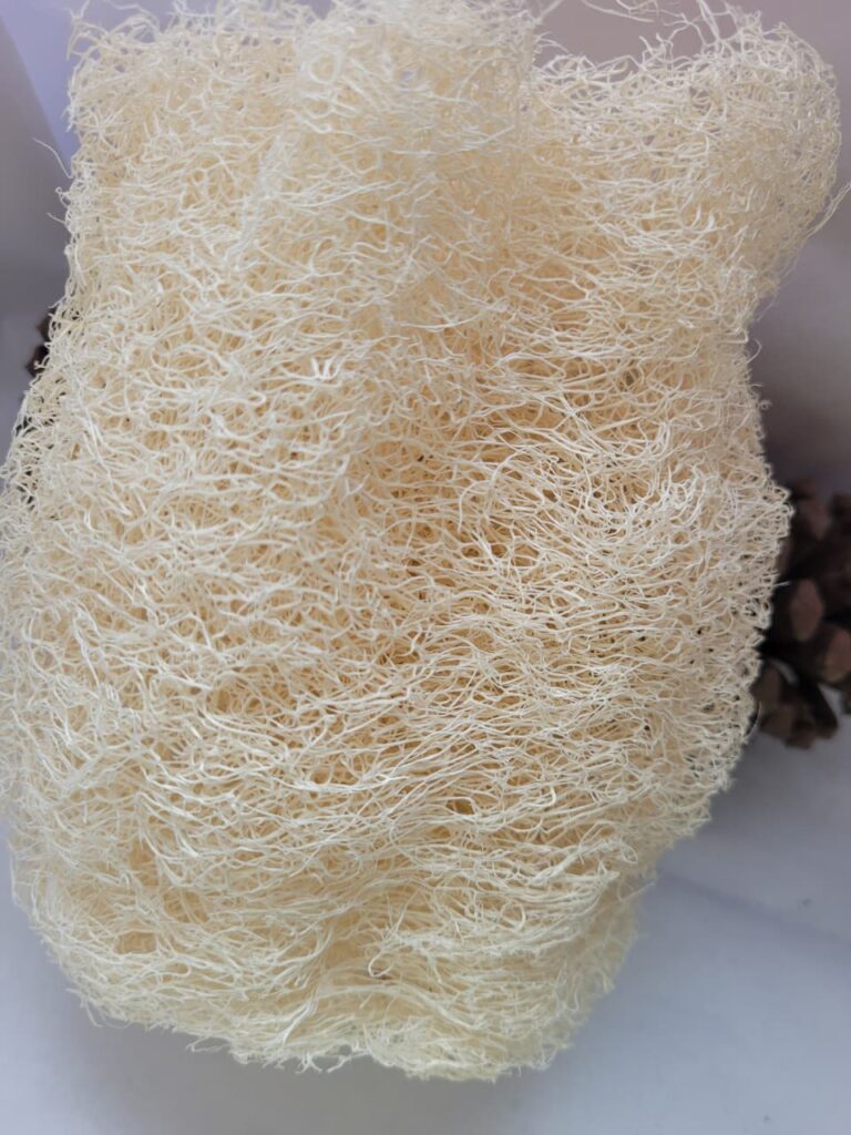 O poder da bucha vegetal: Benefícios para sua pele. bucha vegetal