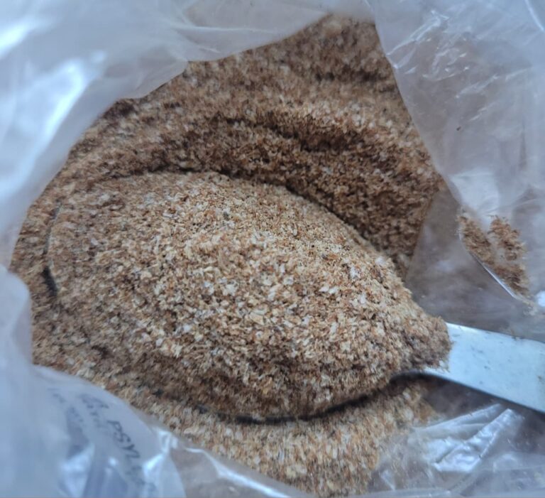 Psyllium seus benefícios para saúde WhatsApp Image 2025 10 29 At 15.46.33 768x701