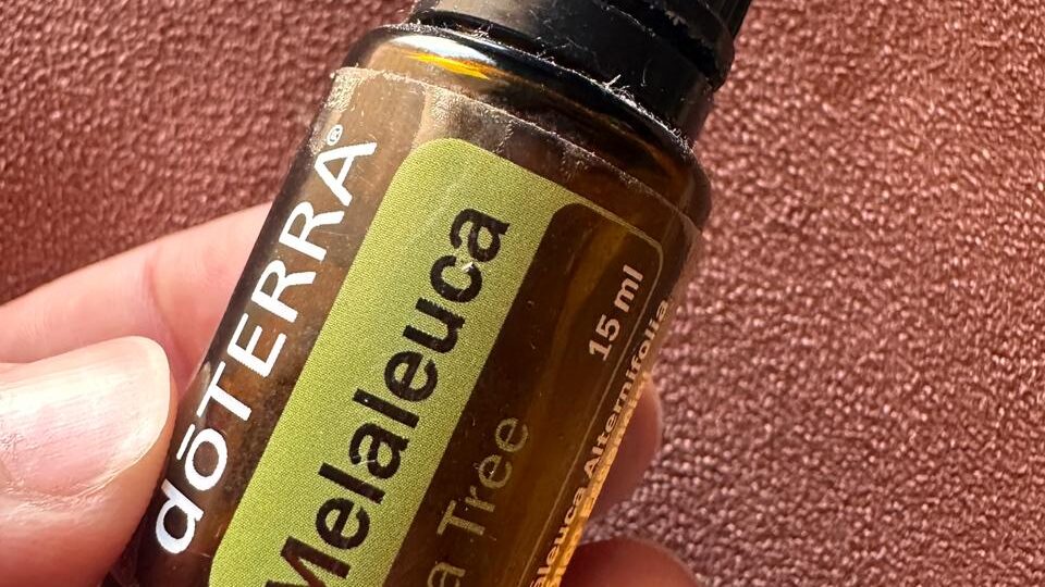 oleo essencial de melaleuca