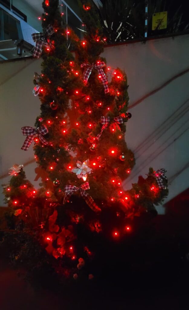 Enfeites de Natal 2025 Cores da Moda Arvore Decorada 625x1024