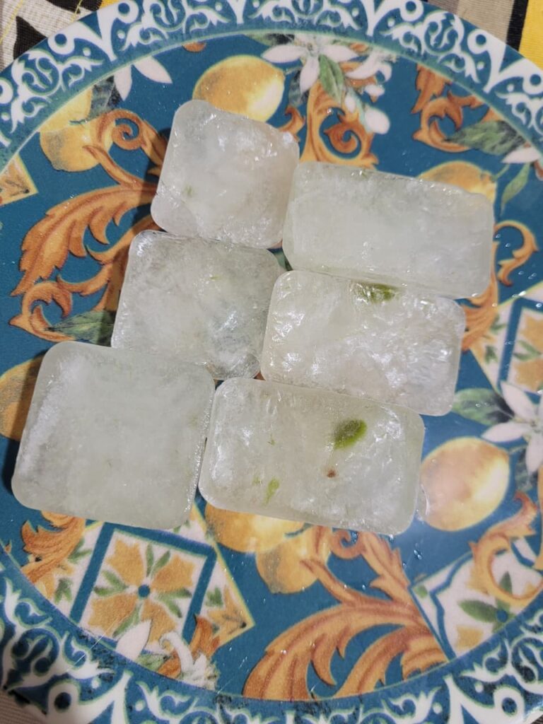 Benefícios do gelo de babosa no rosto Gelo Bb 768x1024